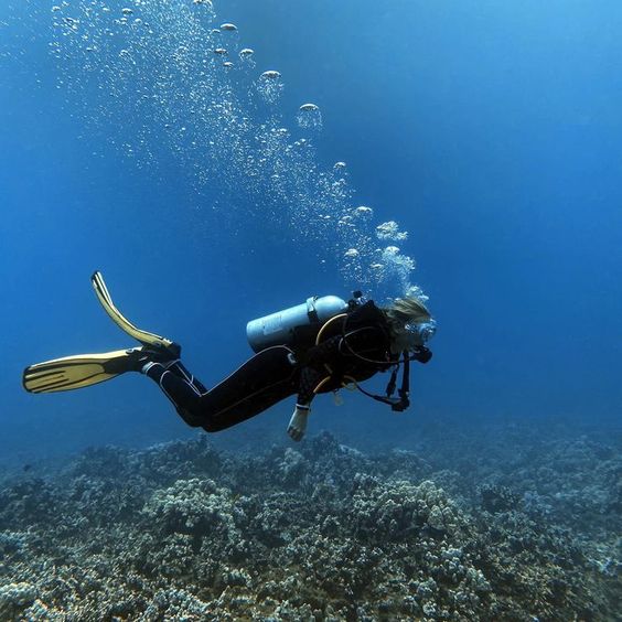 Egypt SNORKELING 