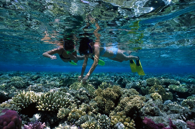 Snorkeling in Egypt (best Places to Snorkel)