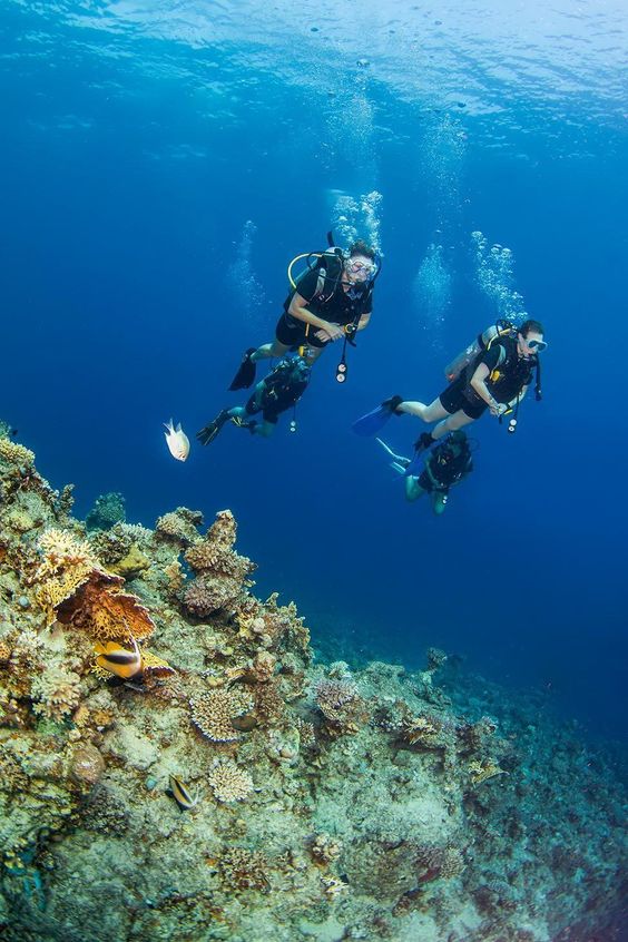 Egypt Snorkeling