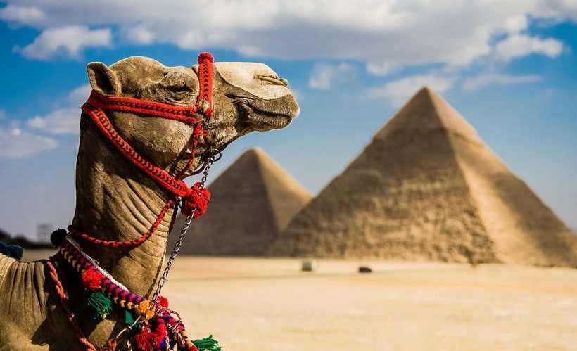 8-Day Egypt Christmas Tour: Holiday Special Vacation of Egypt