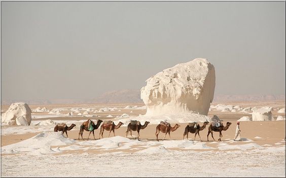 white desert safari